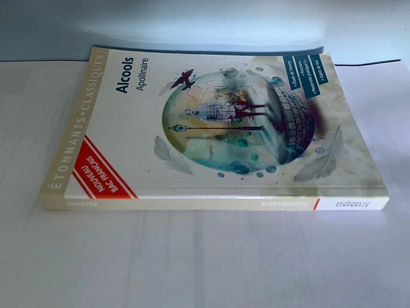 Alcools Apollinaire - photo numéro 3
