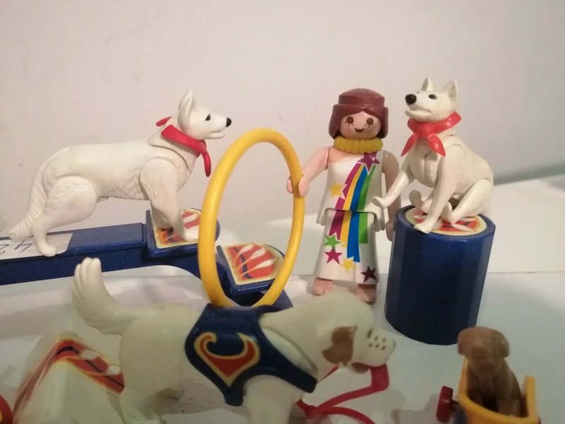 Playmobil theme dressage des chiens