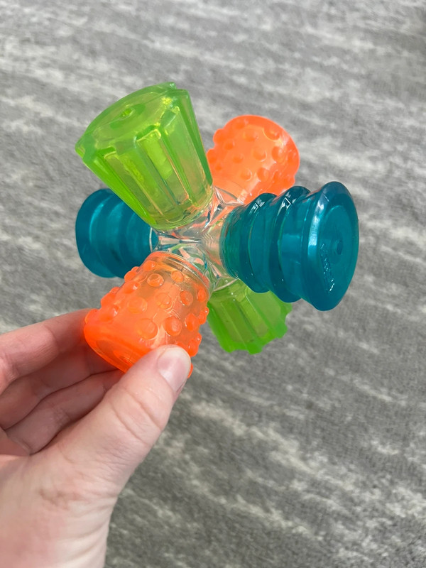 Squeaky Dog toy 2