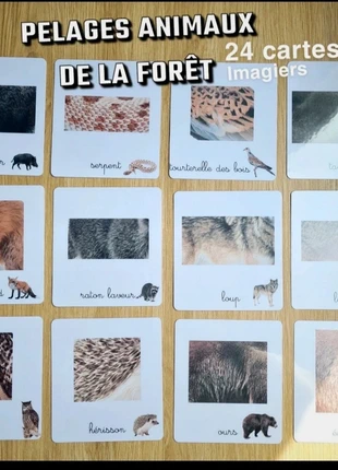 24 cartes imagiers Pelages des animaux de la forêt/ cartes de nomenclature, brand: imagier montessori, condition: New with tags, size: 5 years / 110 cm, €11.66, €12.94 includes Buyer Protection Pro