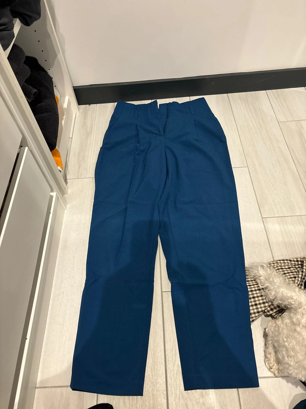 Pantalon pince bleu 1