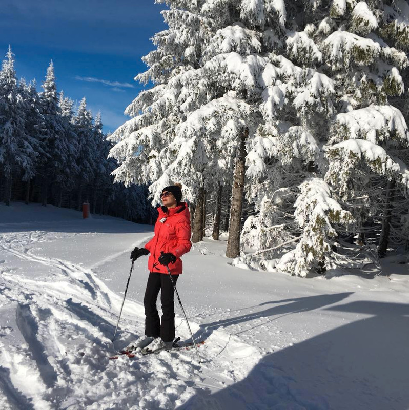 Profilna slika člana therese.escalon