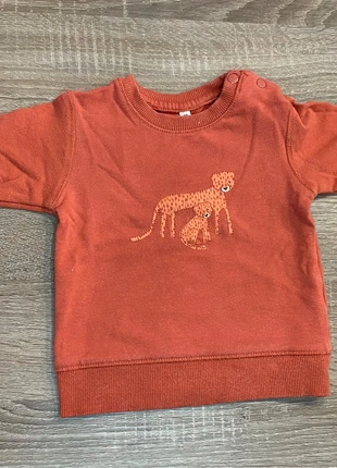 Pull orange , merk: Pull, staat: Goed, maat: 3-6 maanden / 62 cm, € 2,00, € 2,80 inclusief Kopersbescherming