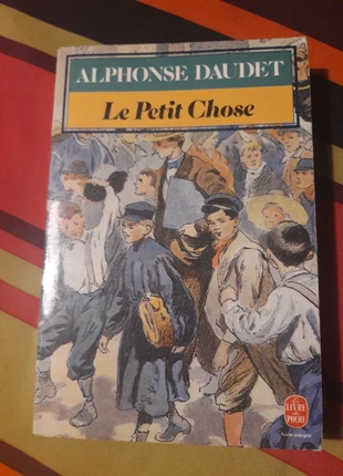 Livre "Le petit chose", état: Bon état, 2,00 €, 2,80 € Protection acheteurs incluse