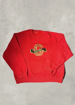 Vintage graphic embroidered sweatshirt, brand: Reclaimed Vintage, condition: Good, size: L, £13.00, £14.35 includes Buyer Protection