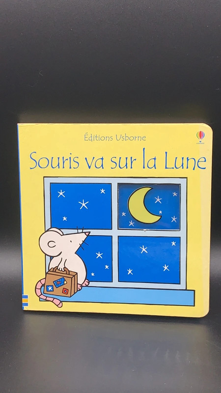 Souris va sur la lune