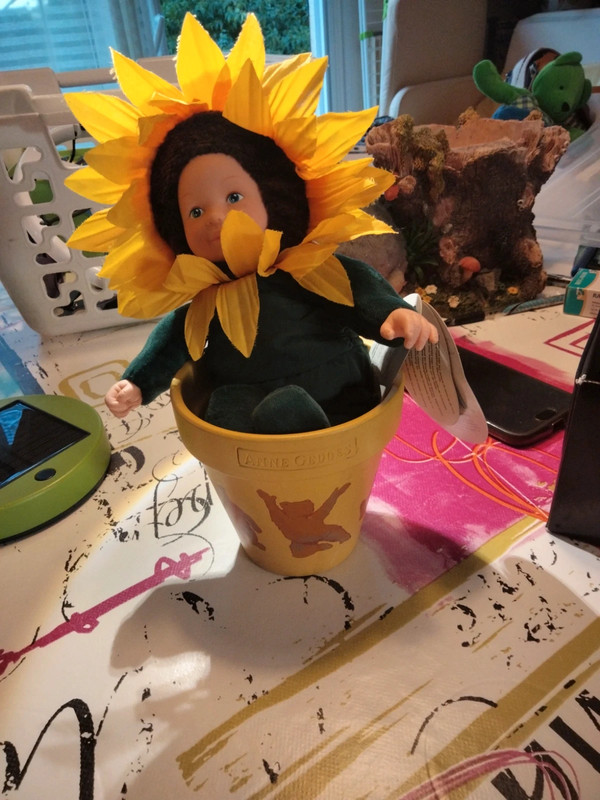baby sunflowers by Anne geddes Vinted