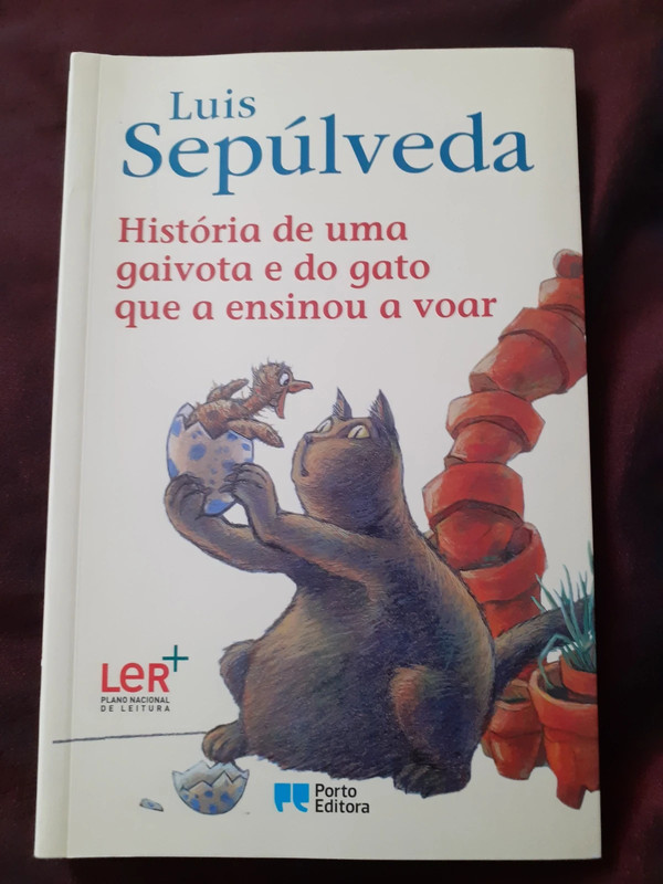 Biblioteca Escolar Silves Sul: Quiz História de uma gaivota e do gato que  a ensinou a voar