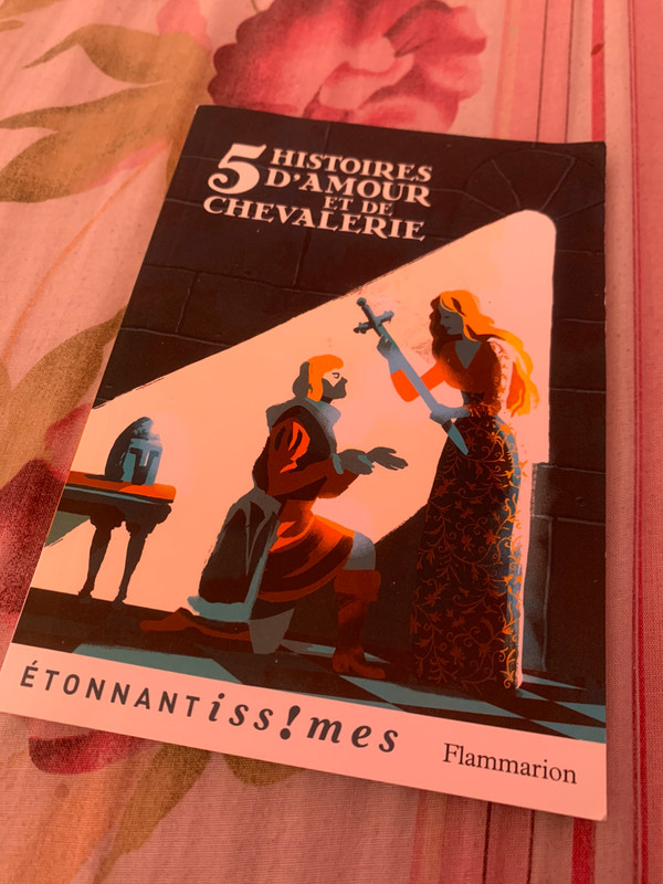 5 Histoires D'amour Et De Chevalerie Fiche De Lecture 5 Histoires D’Amour Et De Chevalerie - Vinted
