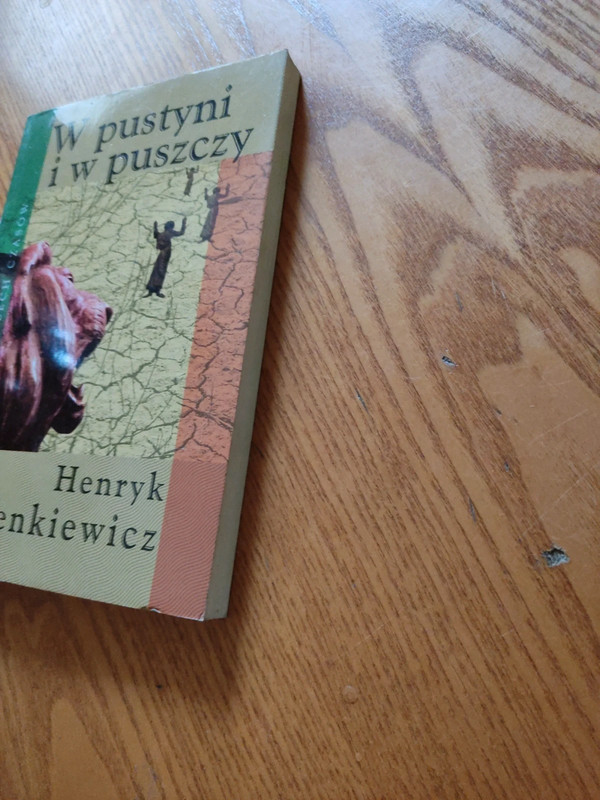 Dlaczego Podoba Mi Sie Książka W Pustyni Iw Puszczy Książka "w pustyni i w puszczy" Henryk Sienkiewicz | Vinted