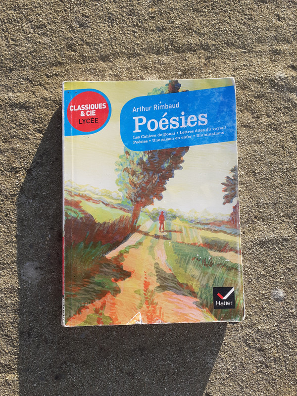 Poésies : les cahiers de douai - poésies - lettres dite du voyant