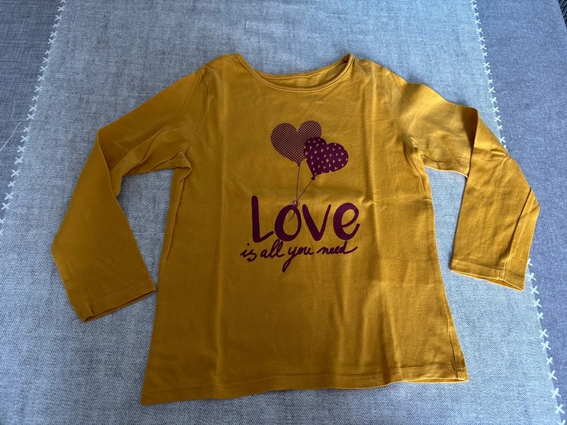 Lot haut manches longues 5 ans - photo numéro 4