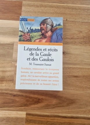 Livre sur la Gaule, condizioni: Ottime, €1.00, €1.75 include la Protezione acquisti