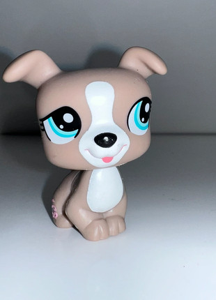 Obrázek k inzerátu: LPS Littlest Pet Shop #1463 jack Russel terier terrier pies piesek 3 generacja