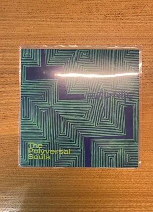 The Polyversal Souls - Sad Nile - 7", état: Très bon état, 8,00 €, 9,10 € Protection acheteurs incluse