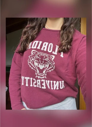 Florida university sweatshirt, brand: Subdued, condizioni: Ottime, taglia: M / IT 42 / EU 38, €9.00, €10.15 include la Protezione acquisti