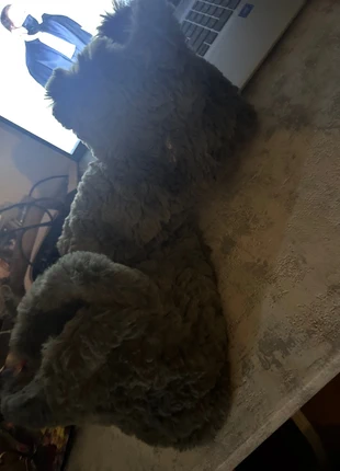 Chaussons femme, brand: Kiabi, condition: Very good, size: 37, €1.00, €1.75 includes Buyer Protection