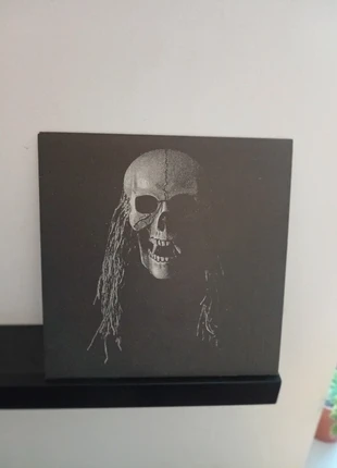 Warthog Vinyl, zustand: Sehr gut, 10,00 €, 11,20 € inklusive Vinted-Käuferschutz