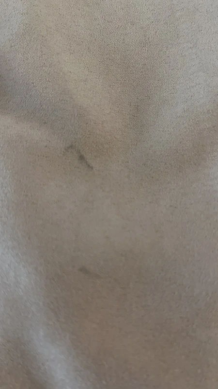 Veste - photo numéro 3