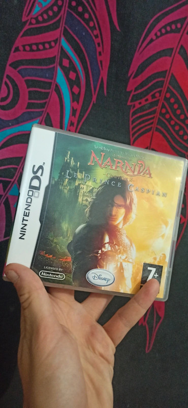Jeu ds Narnia 

#jeuxvideosmks