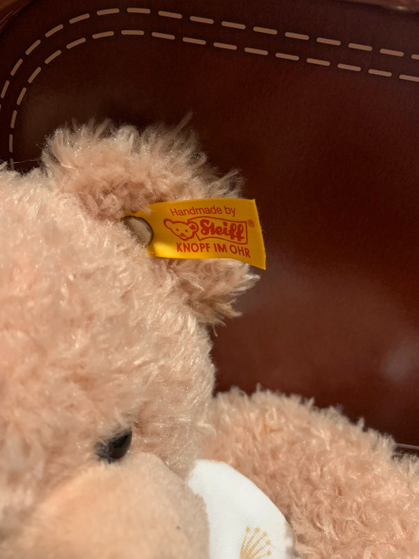 Rare Rolex Steiff teddy bear welcome to this world Vinted