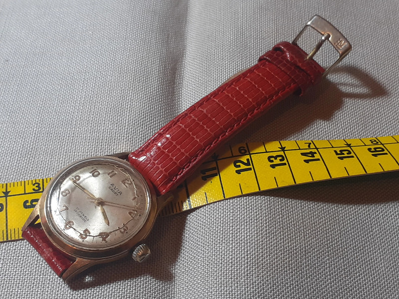 Avia Cadet 17 Jewels Incabloc Orologio a Carica Manuale Vinted