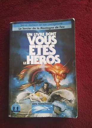 Le sorcier de la montagne de feu, état: Bon état, 6,00 €, 7,00 € Protection acheteurs incluse