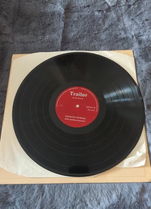 LP Robin And Barry Dransfield Trailer Stereo The Rout Of The Blues 1970, condition: Good, £10.00, £11.10 includes Buyer Protection
