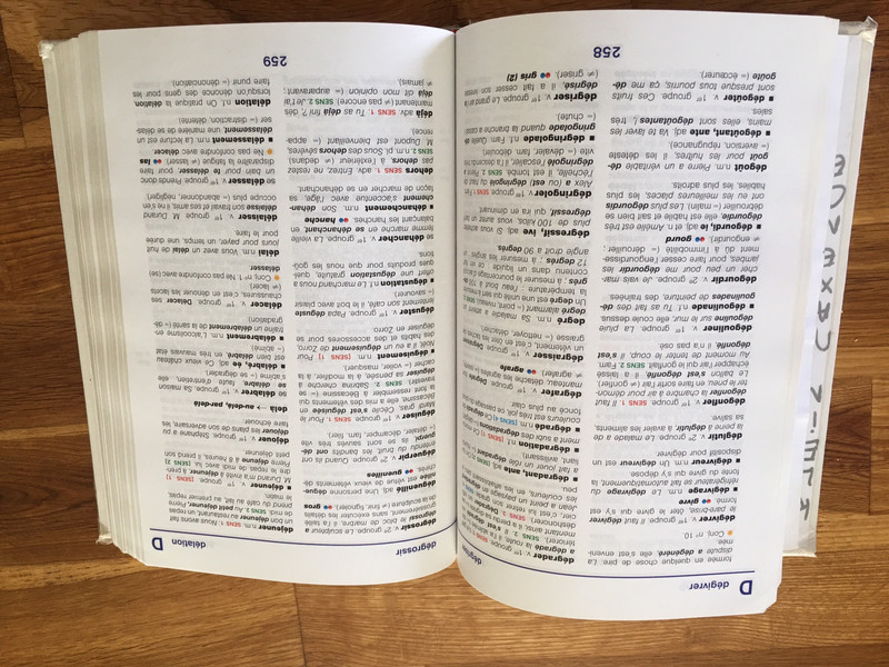 Dictionnaire Larousse maxi débutants - CE1/CE2/CM1/CM2 - 7/10 ans