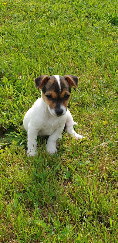 philou4059 - fotografia de profil