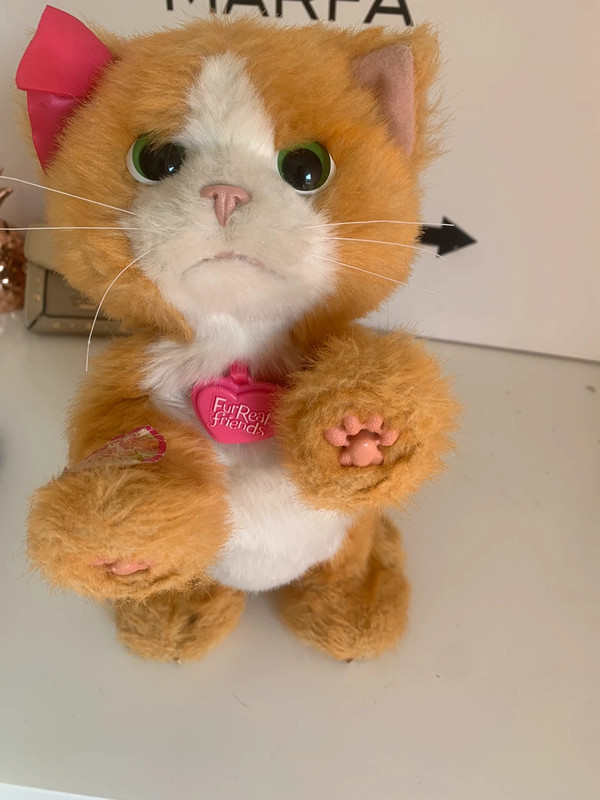 Chat Peluche fur real friends