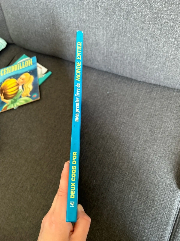 Livre - photo numéro 3