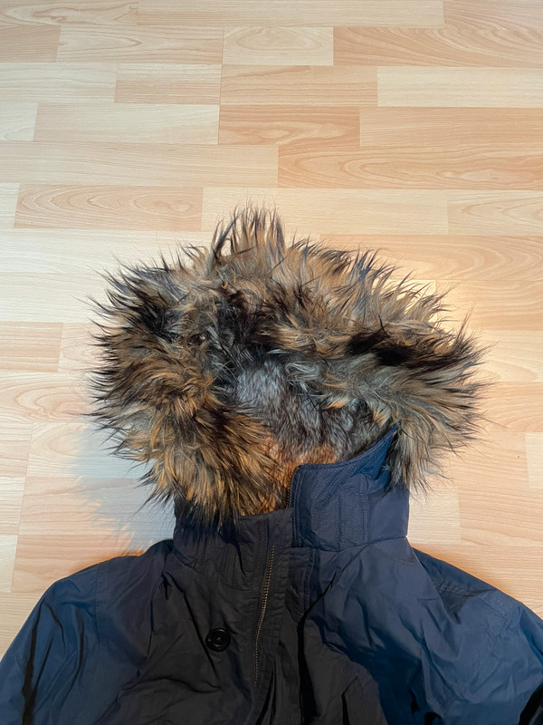 Hollister - Parka - Bleu marine