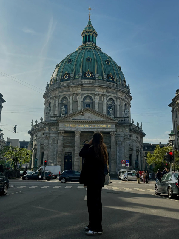 Profilna slika člana rmaferreira