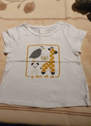 Wit tshirtje, brand: Obaïbi, condizioni: Ottime, taglia: 9-12 mesi / 74 cm, €2.50, €3.33 include la Protezione acquisti