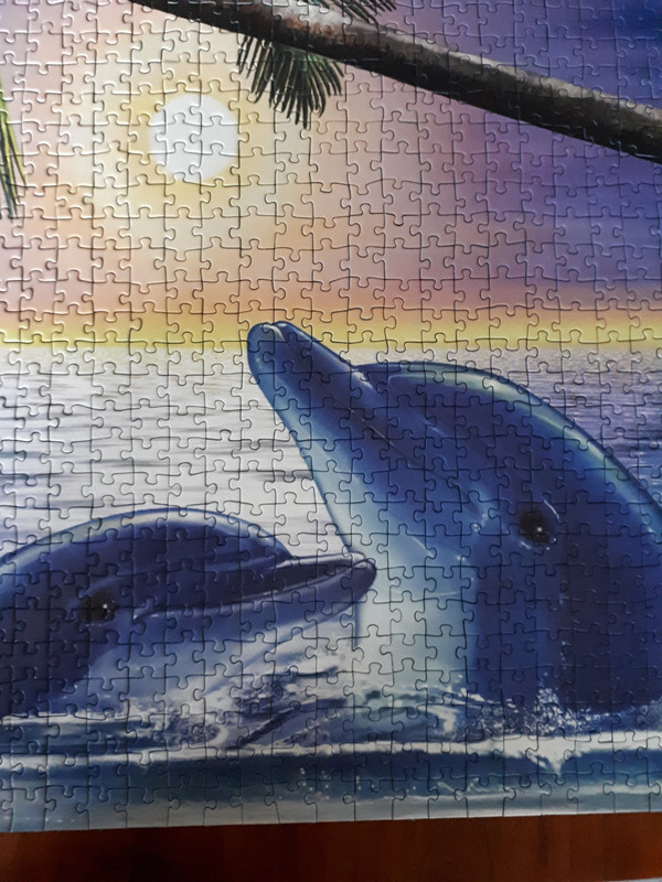 Puzzel dolfijn 2x1000 stukjes 4