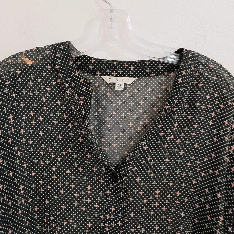 CAbi 239 Sheer Swiss Dot Blouse 2