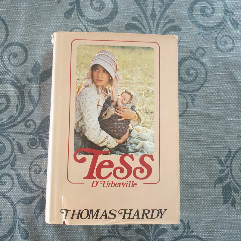 livre Tess D'urberville - thomas hardy, livre en bon état.

sur couverture abimée, cf photo et une écriture sur la 1ère page, cf photo

#gaellerog_livreadulte