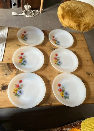 Lot de 6 assiettes plates vintage Arcopal motif fleurs, estado: Muy bueno, 12,00 €, 13,30 € Protección al comprador incluida