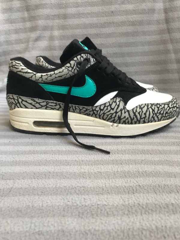 Nike Air Max 1 Elephant 2007 OG Vinted