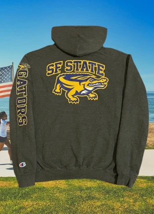Champion x San Francisco State Hoodie - Size M - Grey - Streetwear Y2K, marca: Champion, estado: Muito bom, tamanho: M, €25.00, €26.95 inclui Proteção do Comprador