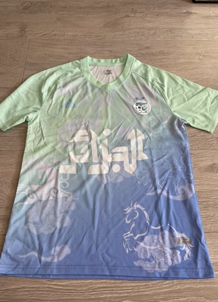 maillot Algérie vert et bleu taille M, marca: algérie, estado: Muy bueno, tamaño: M, 19,00 €, 20,65 € Protección al comprador incluida