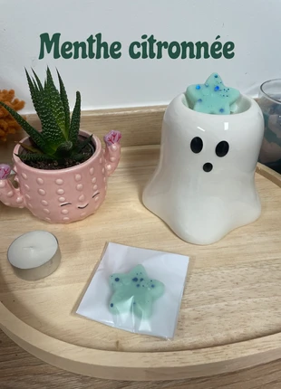 Fondant parfumé menthe citronné, staat: Goed, € 1,00, € 1,75 inclusief Kopersbescherming Pro