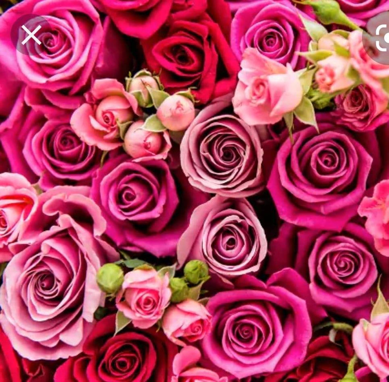 Tuta da 2025 neve bimba