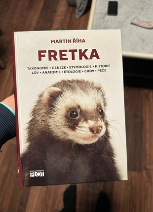 Obrázek k inzerátu: Fretka Martin Říha