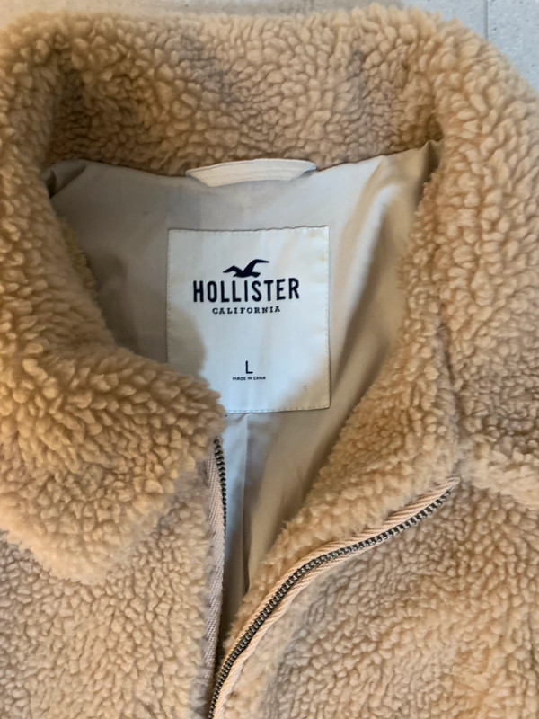 Hollister teddy clearance