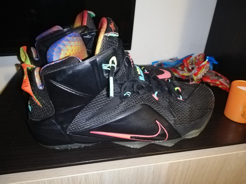 Baskets Nike lebron james pointure 46 Vinted