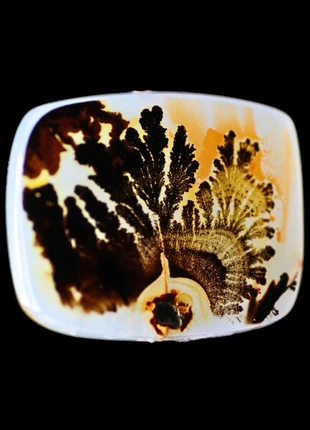 Dendritic Agate – Cabochon - Aga08Den22, brand: Natural, condizioni: Nuovo senza cartellino, €15.00, €16.45 include la Protezione acquisti Pro