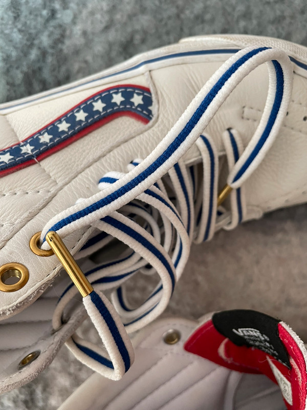 Vans sk8 top hi plata