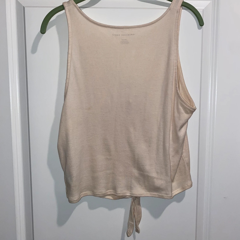 American Eagle Cropped Tank 2